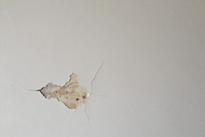 جدار يظهر عليه تشققات وتقشر في الدهان يحتاج للصيانة